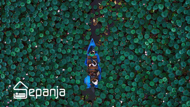 طبیعت سرسبز شهر صومعه سرا در استان گیلان