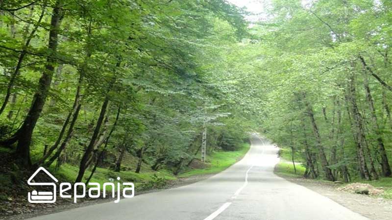 آبشار آب پری با همه دیده هایتان تا کنون فرق می کند! 5 مسیر جنگل رویان مازندران