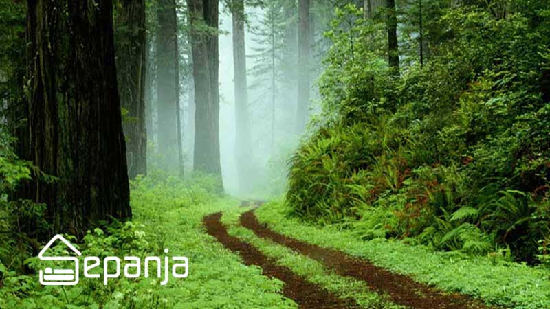 طبیعت سرسبز روستای کسما در نزدیکی شهر صومعه سرا