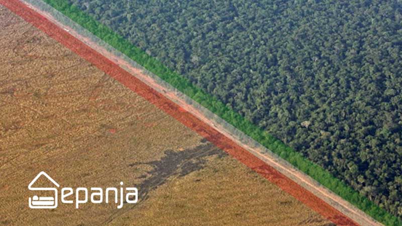 جنگل های هیرکانی ، الماس سبز شمال کشور را بشناسید 5 نابودی جنگل های هیرکانی