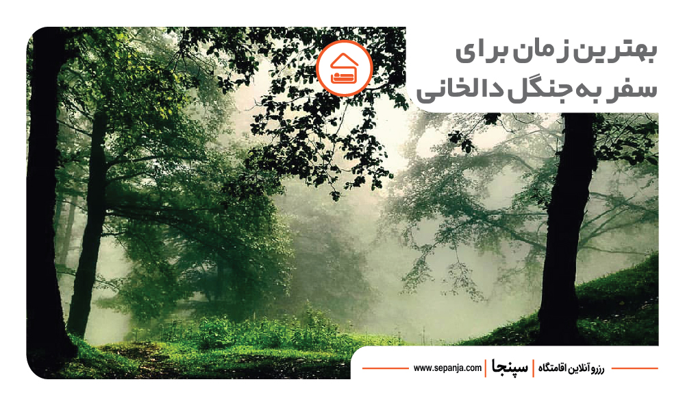 بهترین جاهای دیدنی رامسر از نظر گردشگران ! 26 بهترین زمان برای سفر به جنگل دالخانی از جاهای دیدنی رامسر