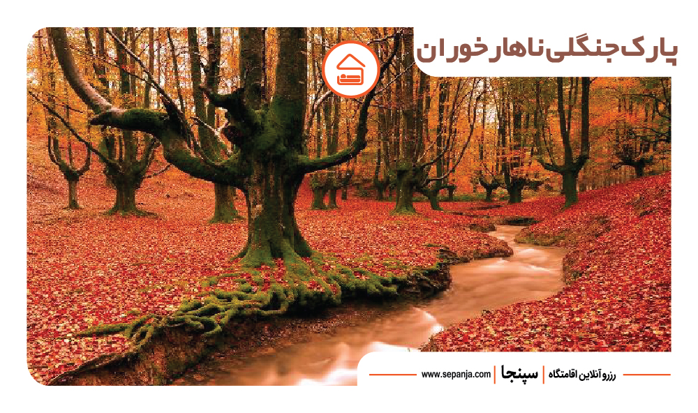 23 مورد از جاهای دیدنی گرگان که باید تجربه کنید! 7 پارک جنگلی ناهارخوران از معروفترین جاهای دیدنی گرگان