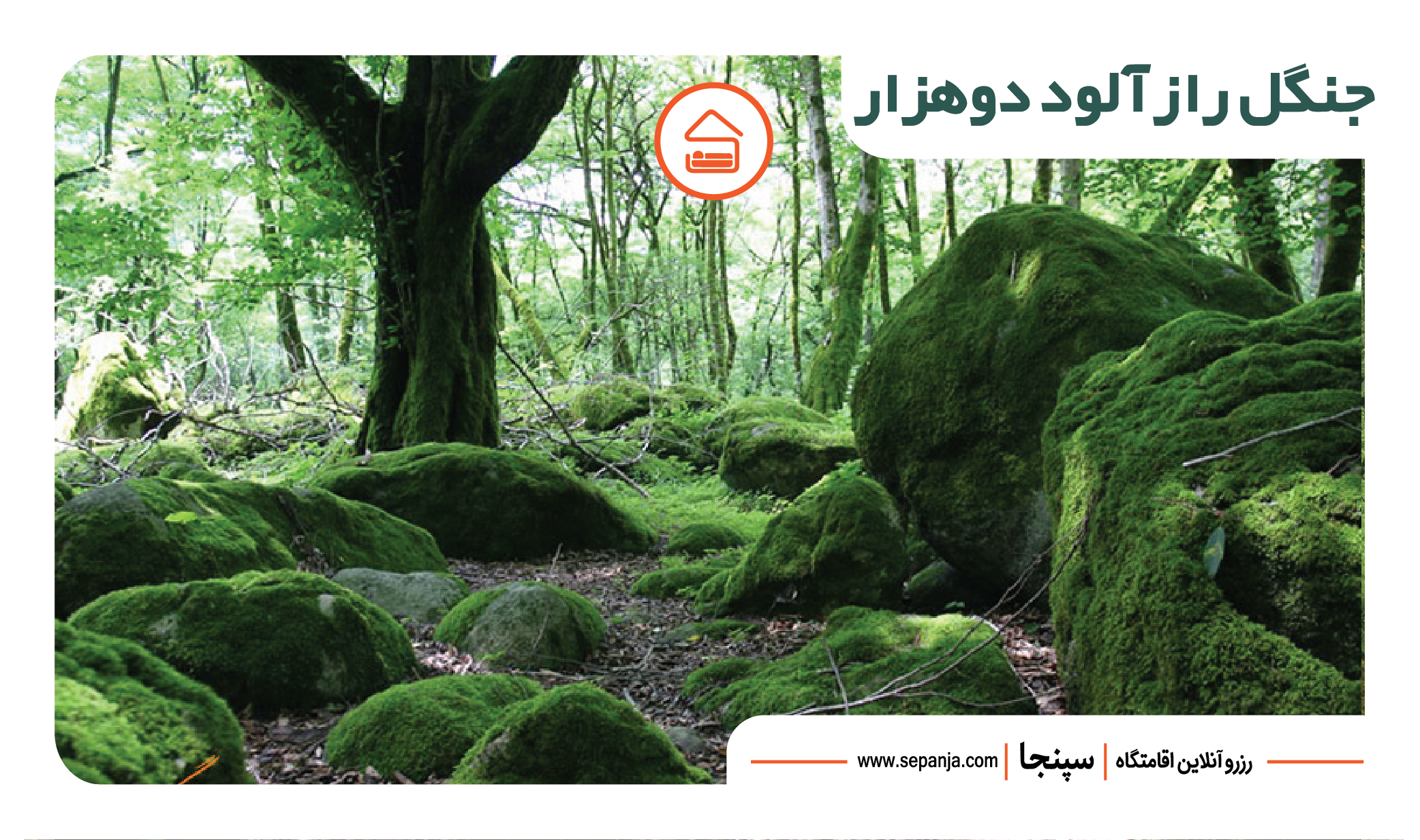 جذاب ترین جاهای دیدنی تنکابن را بشناسید! 7 جنگل زیبای دوهزار از جاهای دیدنی تنکابن