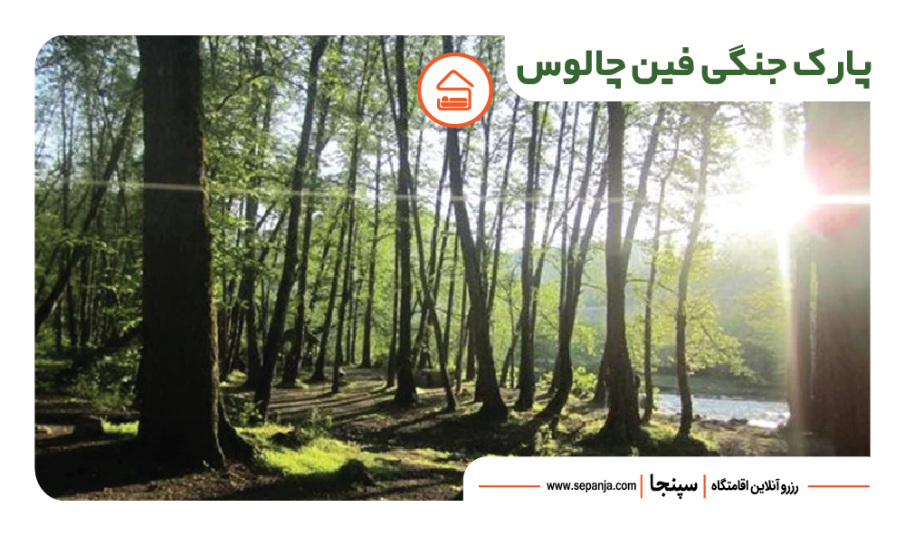 ۸ جاذبه دیدنی و طبیعی چالوس برای سفری خاطرهانگیز | سپنجا 4 نمایی از پارک جنگلی فین چالوس