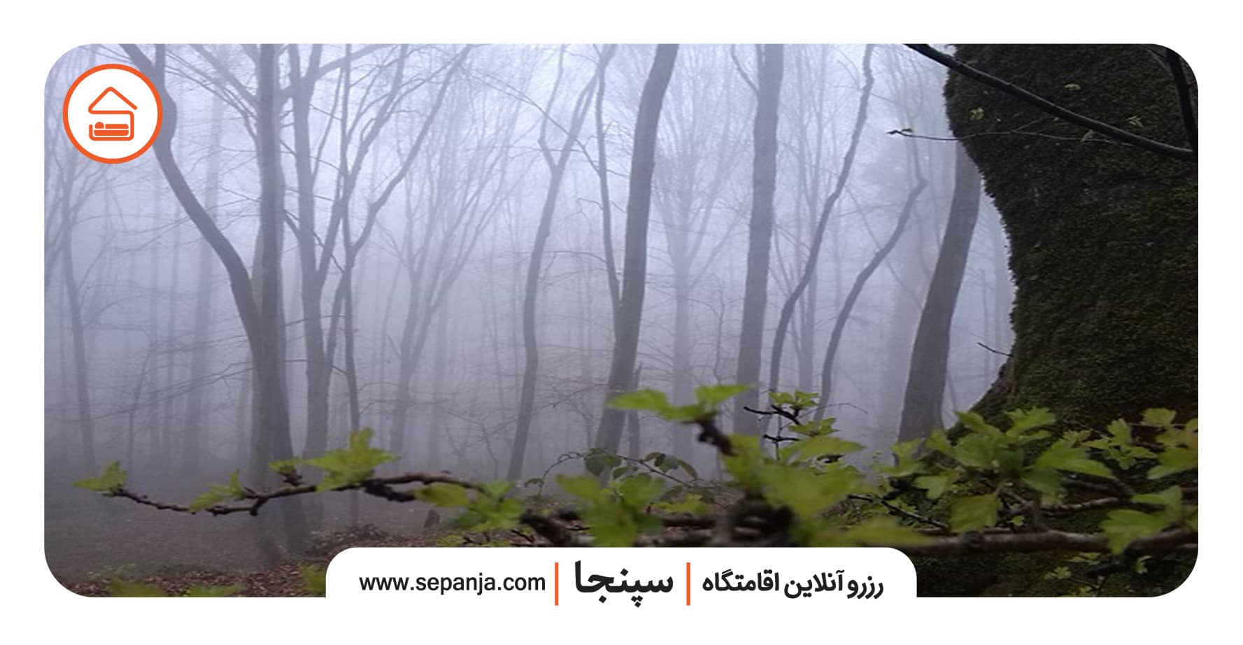 جنگل پاسند از بهترین مکان های ناشناخته تهران 