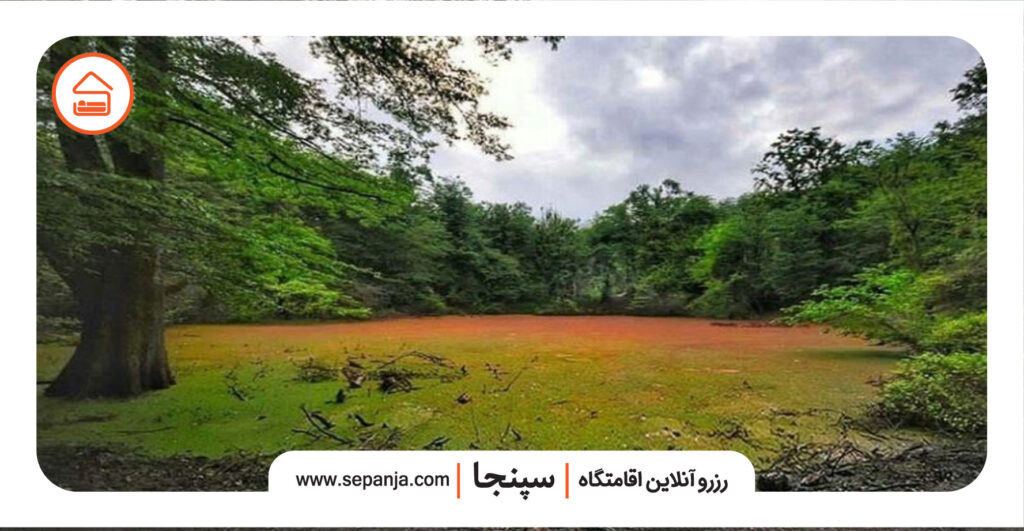راهنمای سفر به چالوس