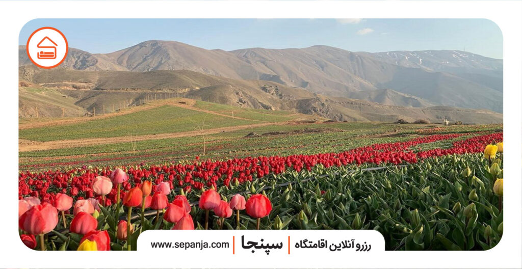 راهنمای سفر به چالوس