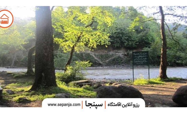 تصویر از پارک جنگلی فین چالوس، سرسبز‌ترین پارک شمال ایران