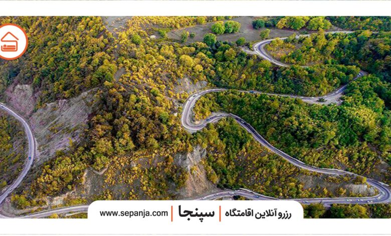 تصویر از منطقه گردشگری توسکستان، جنگلی در دامنه شمال ایران