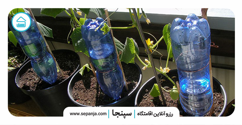 آبیاری-گیاهان-با-بطری-آب