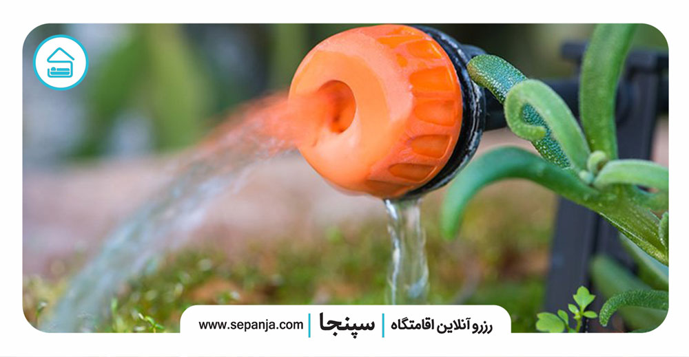 آبیاری-گیاهان-باغچه