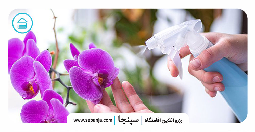 آبیاری-گیاهان-در-حین-سفر