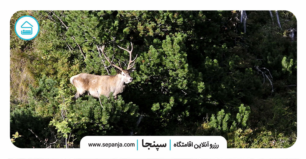 تاثیرات-مثبت-پارک-ملی