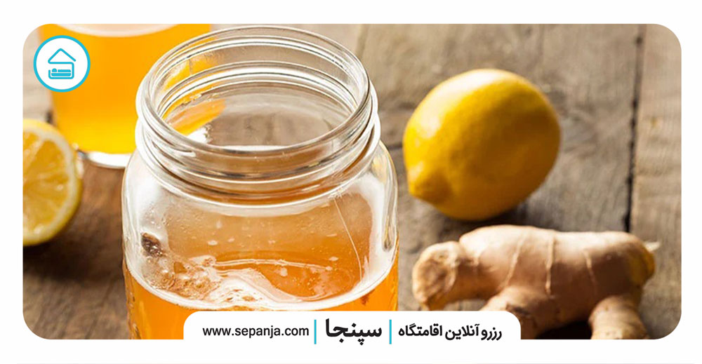 تاریخچه-کلی-قارچ-کامبوچا