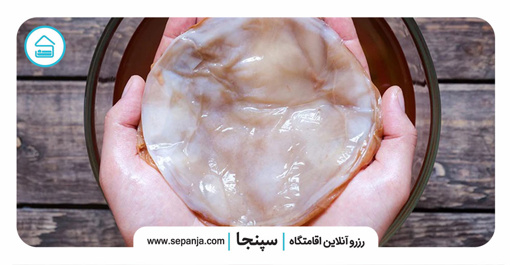 ترکیب-شیمیایی-کامبوچا