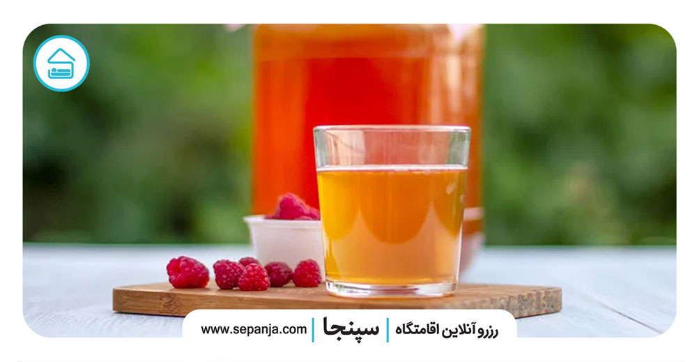 خواص-چای-کامبوچا-برای-بدن