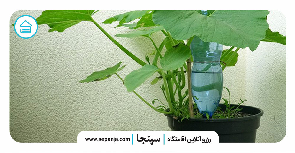 روشهای-آبیاری-گیاهان-باغچه-در-مسافرت
