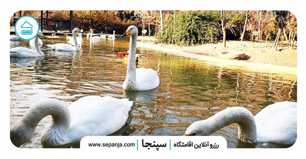 پارک جنگلی شیان لویزان، زیباترین پارک جنگلی در استان تهران 2 پارک جنگلی شیان لویزان