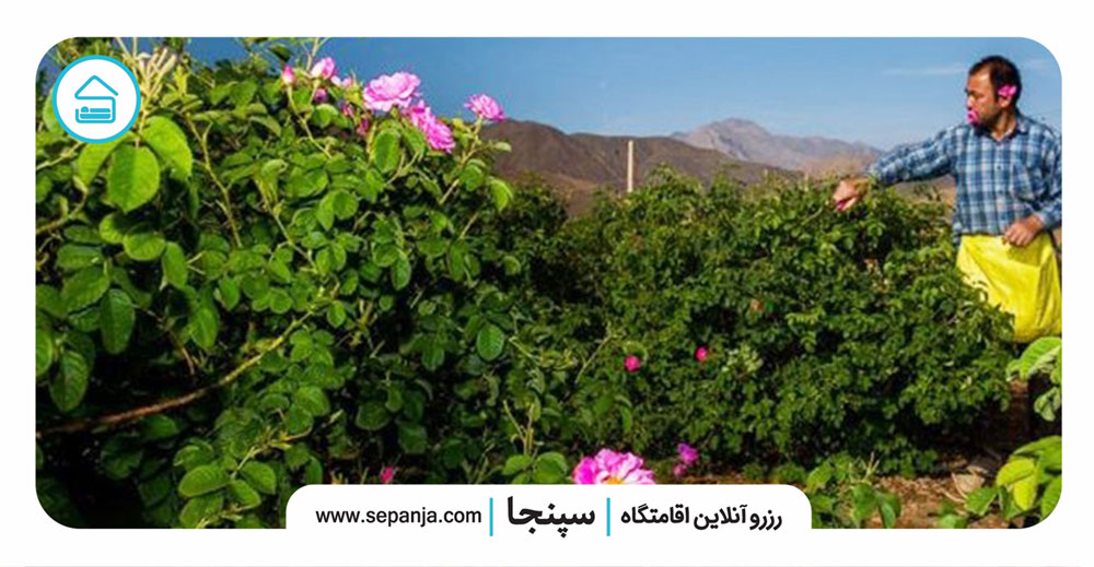قمصر-کاشان-3