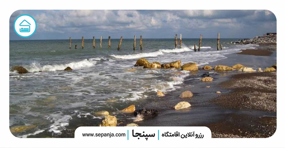 شالیزارهای-فریدون-کنار
