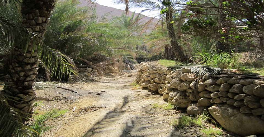 روستای بناب