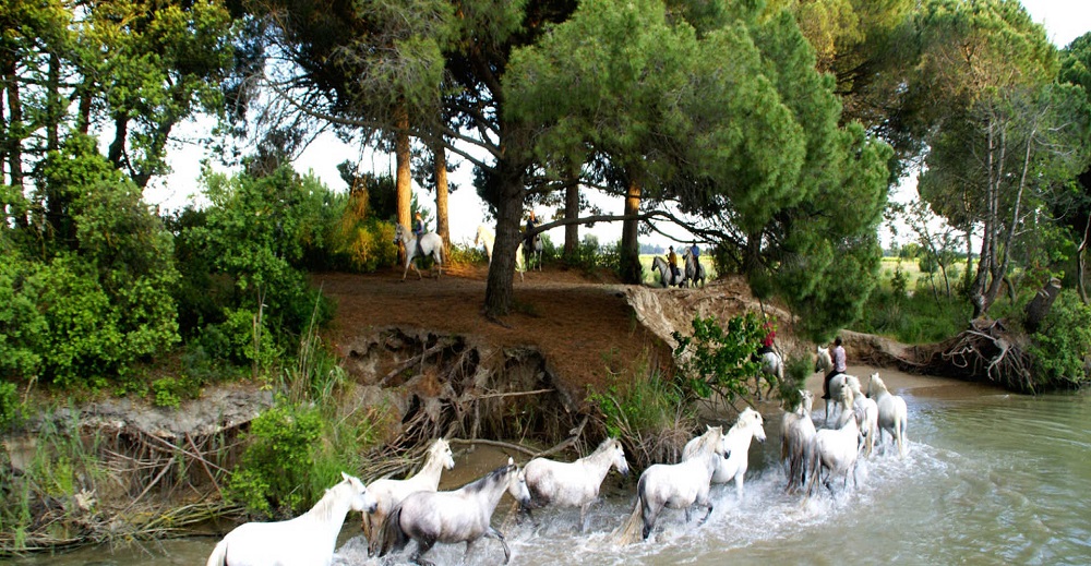 همه چیز درباره سفر به فرانسه 7 سفر به فرانسه