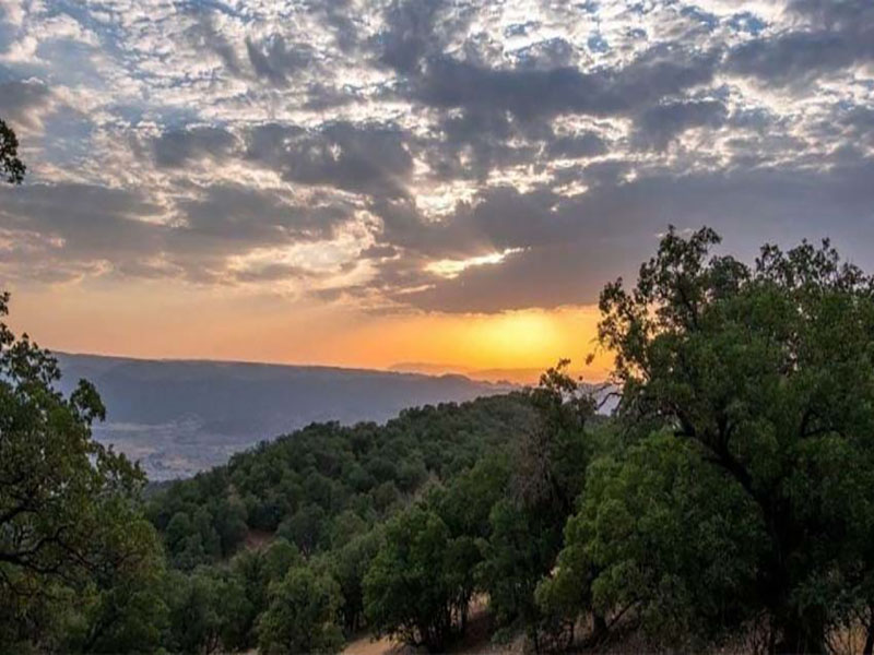 پارک ساحلی یاسوج
