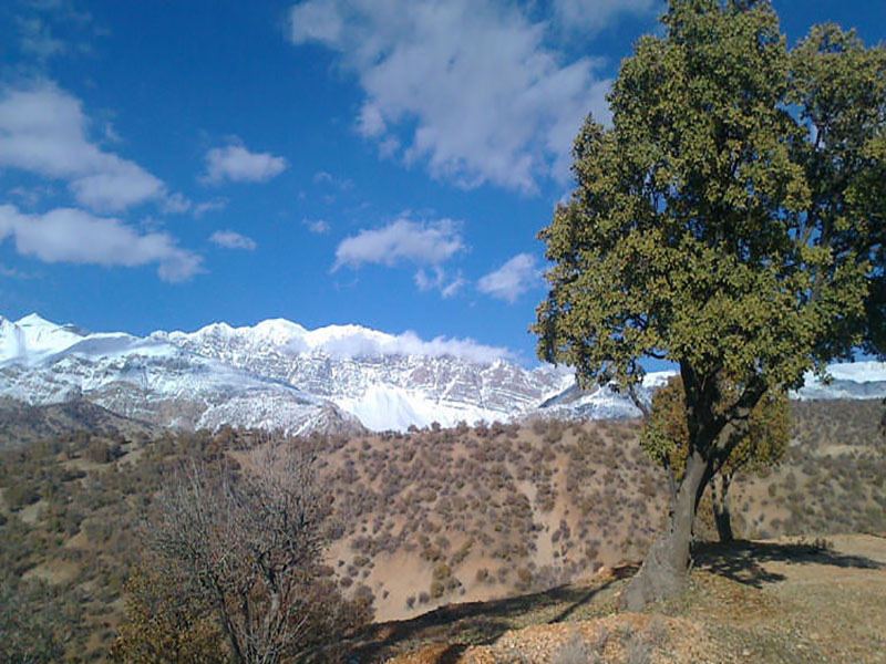 پارک جنگلی یاسوج