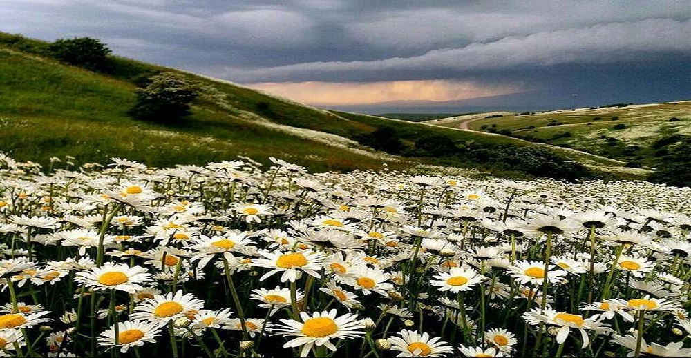 همه چیز در مورد سفر به اردبیل 2 آب و هوای شهر اردبیل
