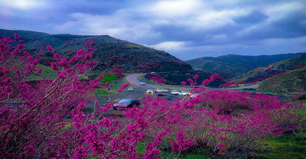 بهترین مکان های عکاسی مشهد