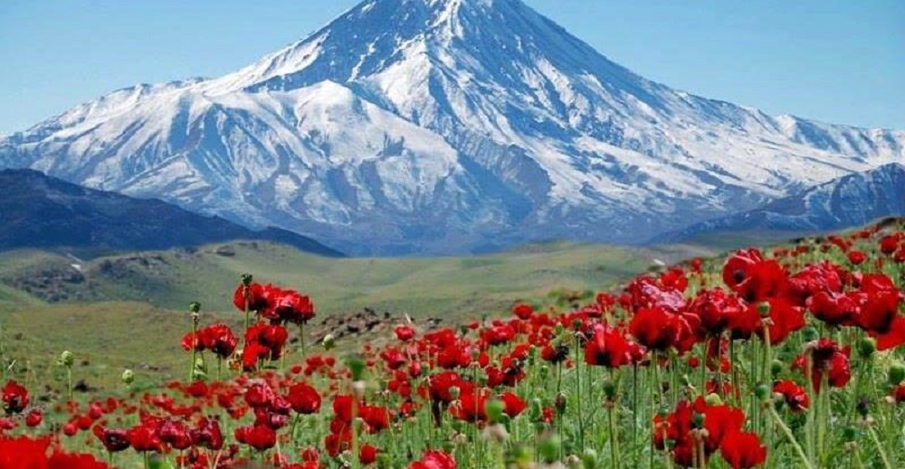دشت لار