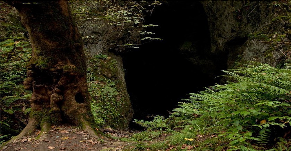 غار آویشو