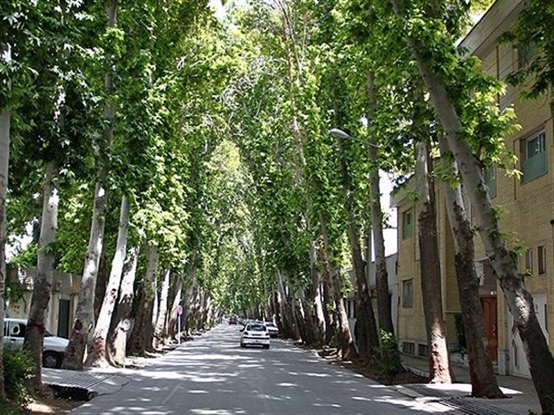 آشنایی بهترین جاهای اصفهان برای زندگی 5 محله عباس آباد