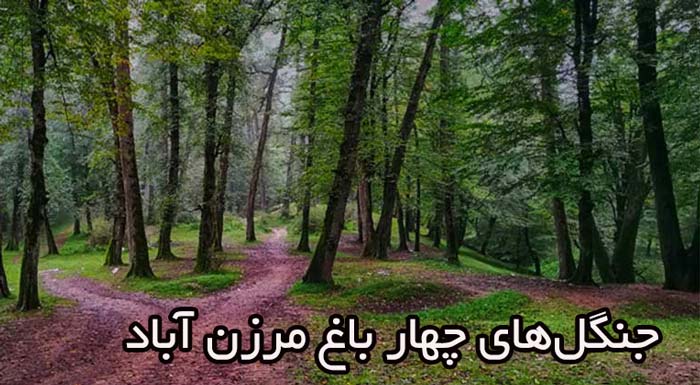 جنگل‌های چهار باغ مرزن آباد