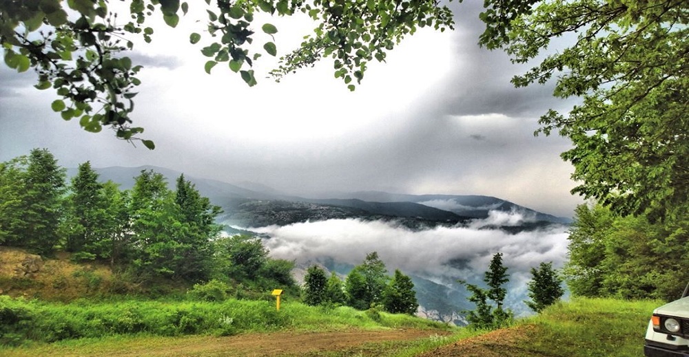 جنگل ابر سمنان