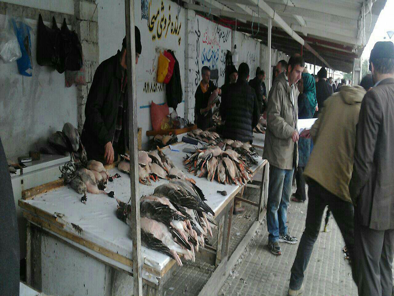 راهنمای سفر به فریدون کنار ، بهترین شهر شمالی برای مسافرت و تفریح 7 بازار سنتی فریدون کنار