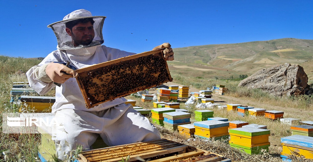 عسل خوی