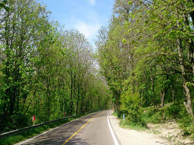 آشنایی با پارک ملی گلستان جنگلی بکر در شمال شرق ایران 5 تاریخچه جنگل گلستان