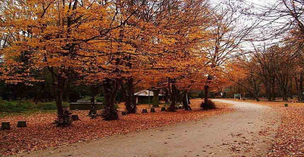 بزرگترین و زیباترین پارک های جنگلی ایران 5 پارک جنگلی سی سنگان