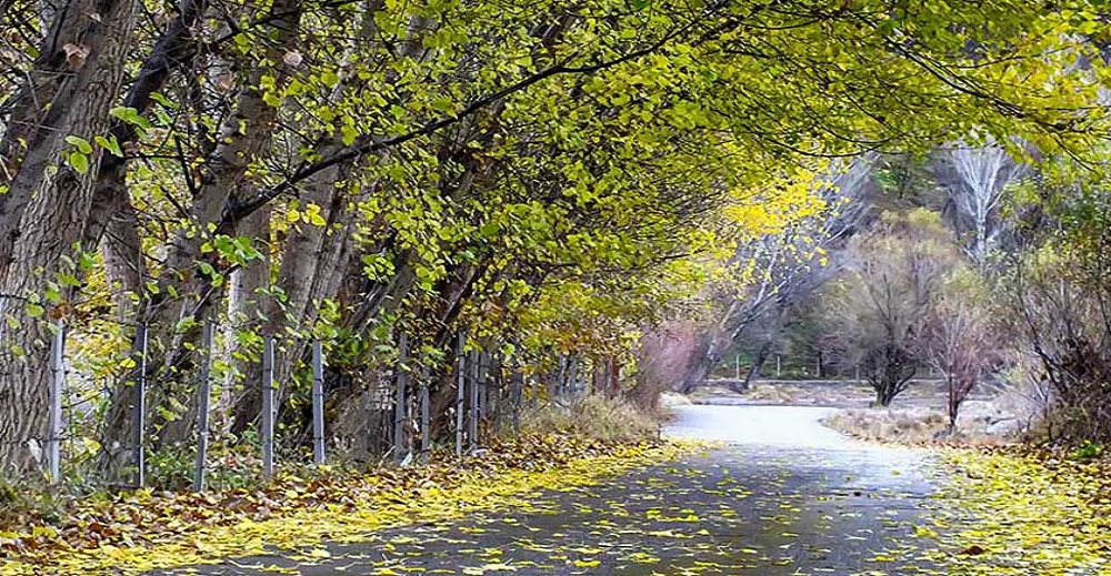 بزرگترین و زیباترین پارک های جنگلی ایران 6 زیباترین پارک های جنگلی ایران