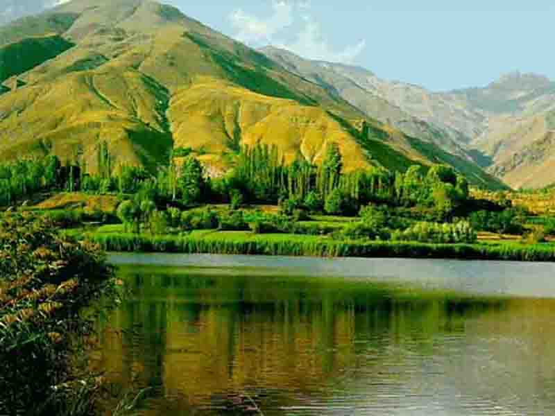 گونه های گیاهی و جانوری اطراف دریاچه اوان