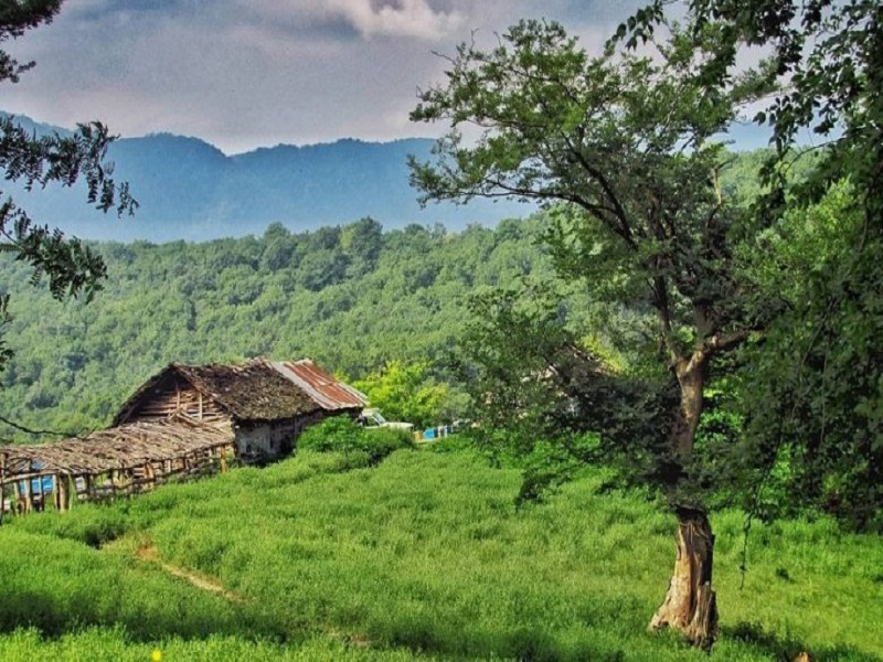 راهنمای سفر به آمل 7 جنگل و روستای بلیران