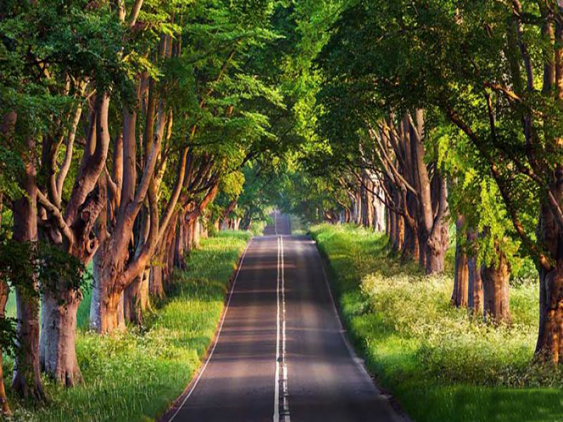 دیدنی های اسالم به خلخال