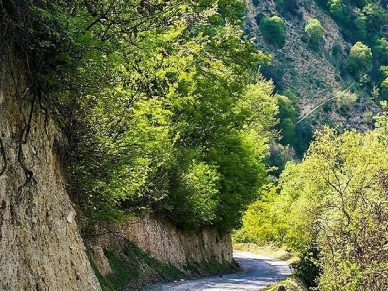 راهنمای سفر به آمل 6 روستای پرن