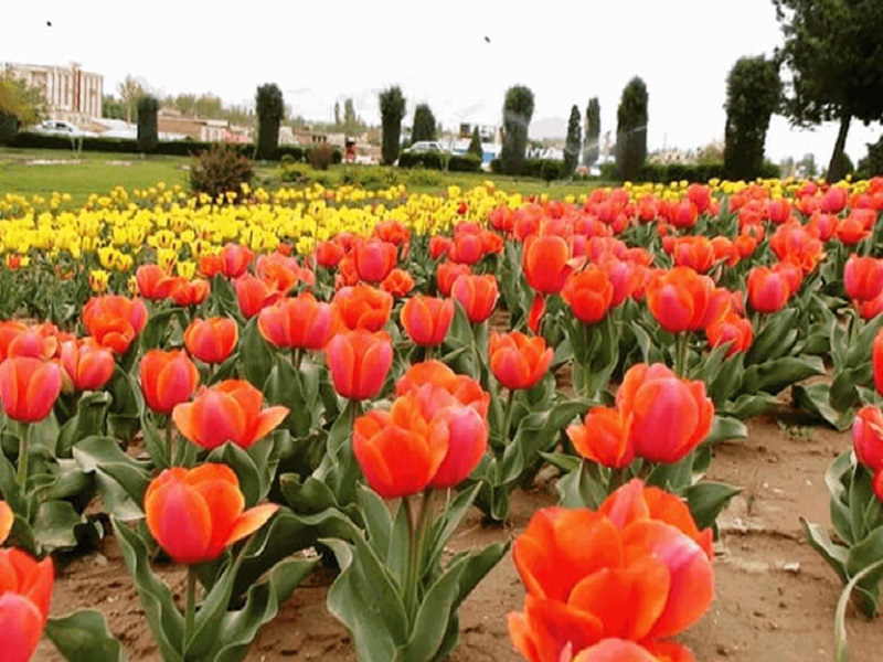 راهنمای سفر به ارومیه
