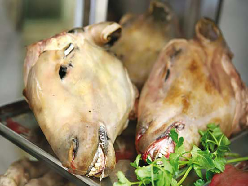 طباخی شاهگوش