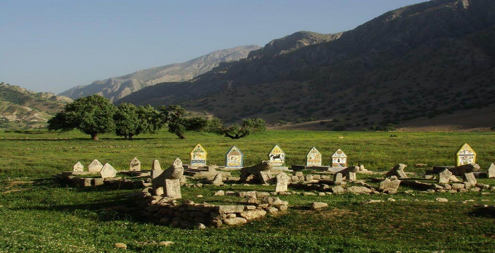 برد گوری