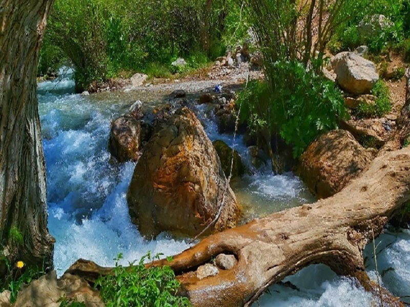 بهترین زمان بازدید