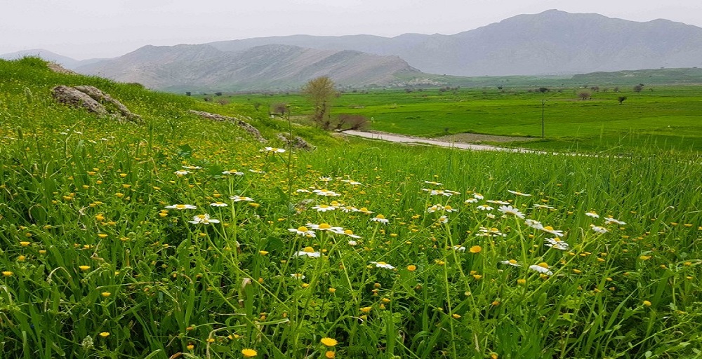 دسترسی به دشت سوسن ایذه