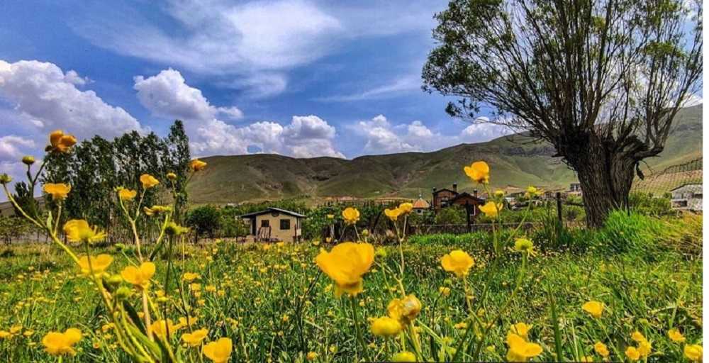 بهترین جاهای دماوند کجاست؟ 8 دشت مشا